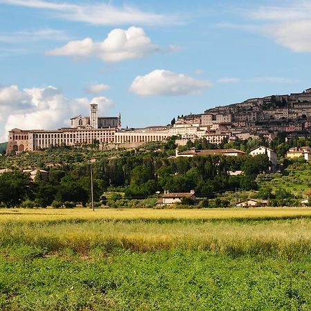 Vista Assisi Bed & Breakfast Ngoại thất bức ảnh