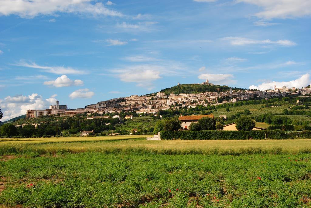 Vista Assisi Bed & Breakfast Ngoại thất bức ảnh