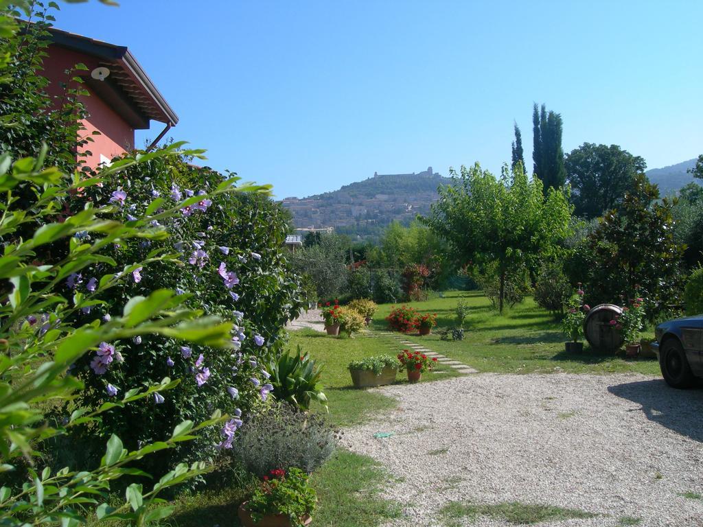 Vista Assisi Bed & Breakfast Ngoại thất bức ảnh