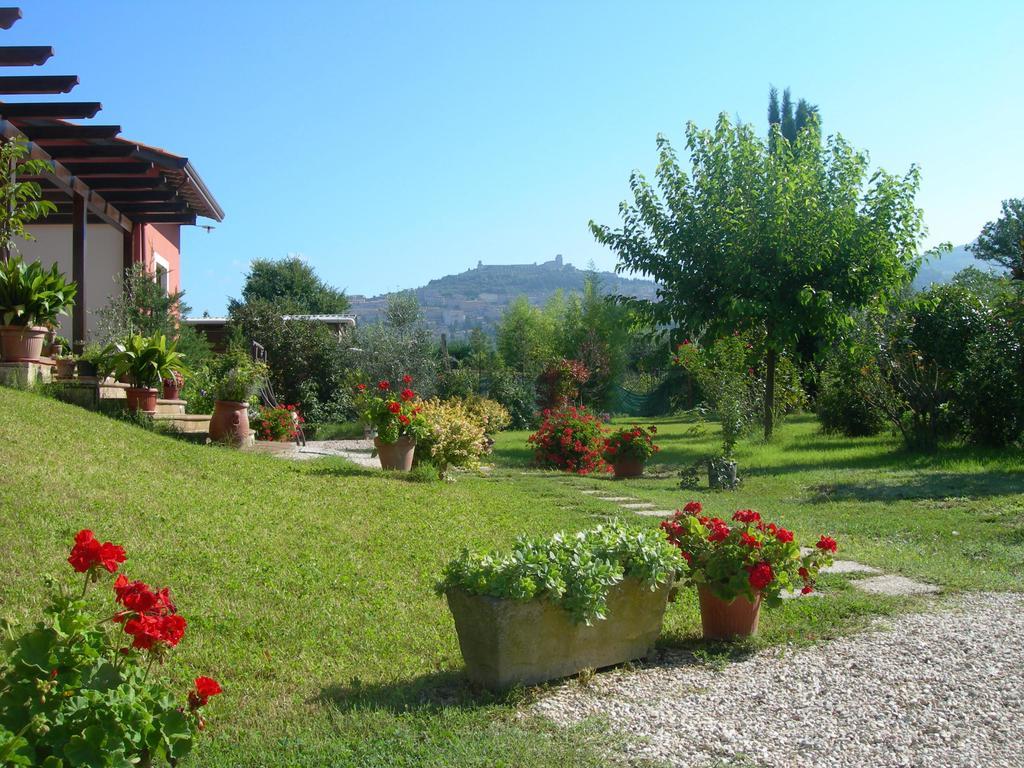 Vista Assisi Bed & Breakfast Ngoại thất bức ảnh