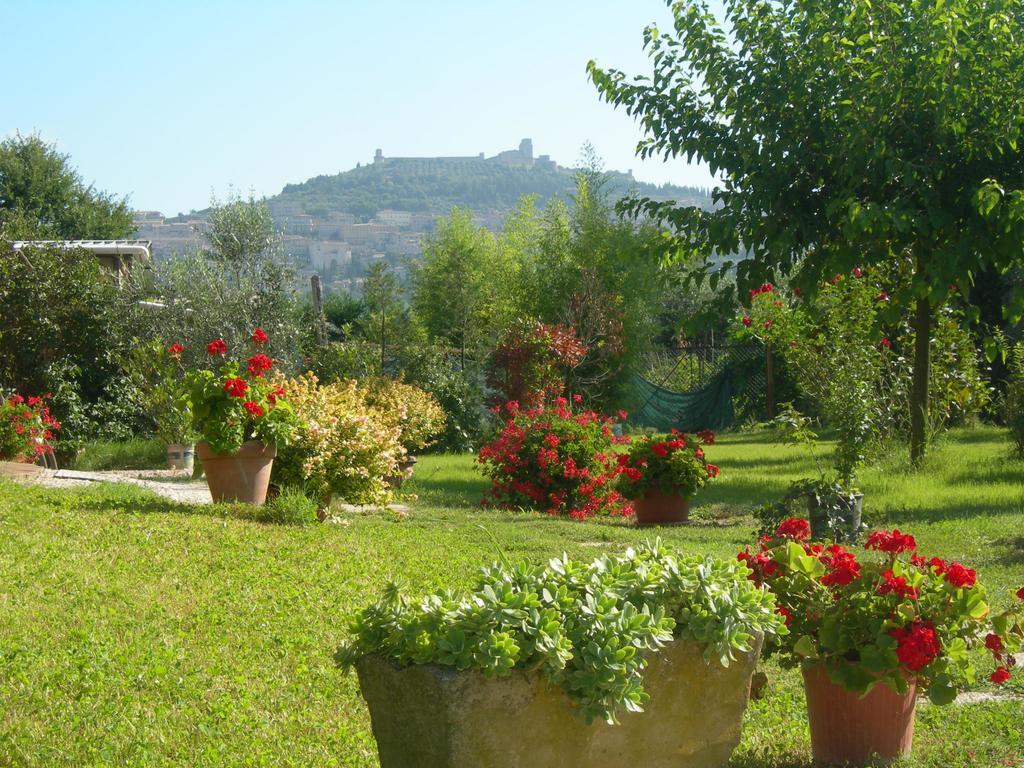 Vista Assisi Bed & Breakfast Ngoại thất bức ảnh