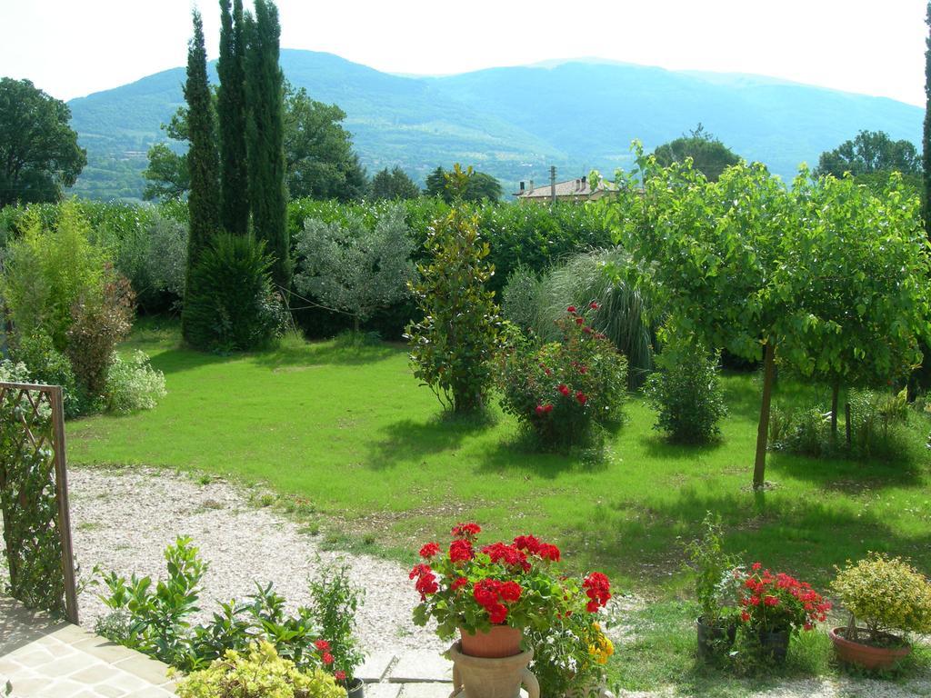 Vista Assisi Bed & Breakfast Ngoại thất bức ảnh